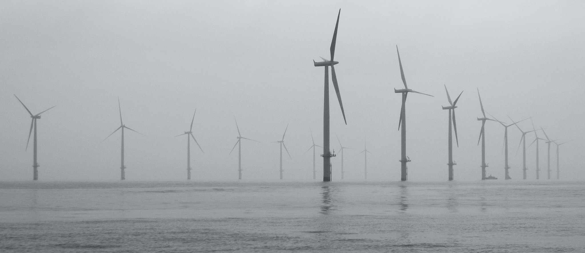 In two rows wind turbines stand in the grey sea on a misty day. It looks cold
but calm.